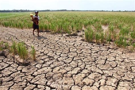 philippines dry season 2024|CLIMATE OUTLOOK .